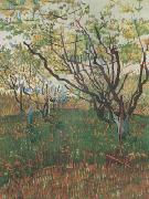 Vincent Van Gogh Orchard in Blosson (nn04) USA oil painting reproduction